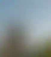 2,5 тыс. Га