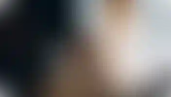 Сотрудничество со СМИ